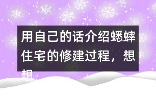 用自己的話介紹蟋蟀住宅的修建過(guò)程，想想為什么蟋蟀的住宅可以算是“偉大的工程”。