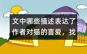 文中哪些描述表達了作者對貓的喜愛，找一找