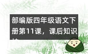 部編版四年級(jí)語文下冊(cè)第11課，課后知識(shí)擴(kuò)展：什么是白樺樹