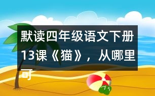 默讀四年級語文下冊13課《貓》，從哪里可以看出作者喜歡貓