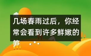 幾場春雨過后，你經(jīng)常會看到許多鮮嫩的筍，成群的從土里探出來，找到文中類似的句子
