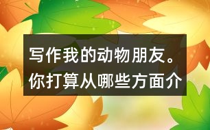 寫作：我的動物朋友。你打算從哪些方面介紹它的特點？