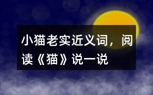 小貓老實(shí)近義詞，閱讀《貓》說(shuō)一說(shuō)