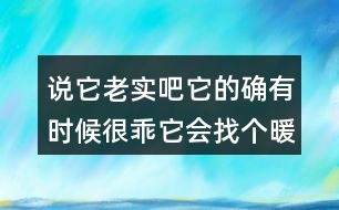 說(shuō)它老實(shí)吧它的確有時(shí)候很乖它會(huì)找個(gè)暖和的地方仿寫