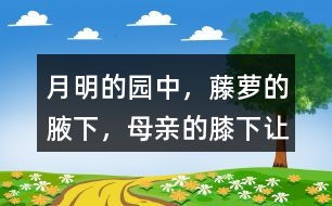 “月明的園中，藤蘿的腋下，母親的膝下”讓你有何感受？
