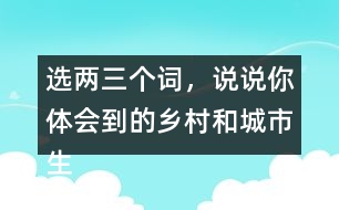 選兩三個詞，說說你體會到的鄉(xiāng)村和城市生活有何不同