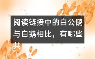閱讀鏈接中的白公鵝與白鵝相比，有哪些共同點？