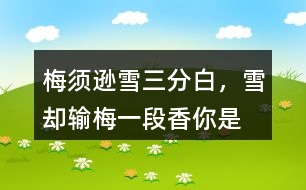 “梅須遜雪三分白，雪卻輸梅一段香”你是如何理解的