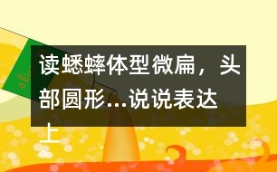 讀蟋蟀體型微扁，頭部圓形...說(shuō)說(shuō)表達(dá)上與課文有何不同