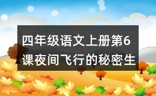 四年級(jí)語文上冊(cè)第6課夜間飛行的秘密生字組詞及拼音