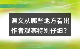 課文從哪些地方看出作者觀察特別仔細(xì)？