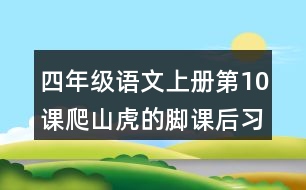 四年級(jí)語(yǔ)文上冊(cè)第10課爬山虎的腳課后習(xí)題參考答案