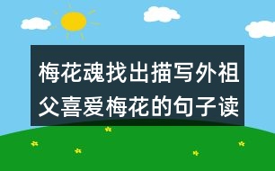 梅花魂找出描寫外祖父喜愛梅花的句子讀一讀，體會這些句子對表達外祖父的思鄉(xiāng)之情有什么好處。