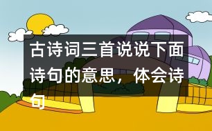 古詩(shī)詞三首說(shuō)說(shuō)下面詩(shī)句的意思，體會(huì)詩(shī)句表達(dá)的思想感情。