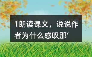 1、朗讀課文，說說作者為什么感嘆“那‘鳥的天堂’的確是鳥的天堂”。