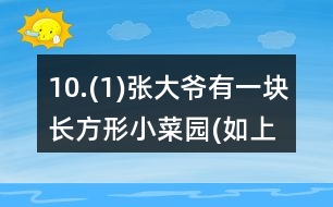 10.(1)張大爺有一塊長方形小菜園(如上圖)，他想用籬笆圍起來，需要籬笆多少米? (2)如果兩個公司所售的籬笆質量相同，你能幫張大爺推薦一下，選用哪家公司的比較合算?你是怎樣想的?與同伴進行交流。