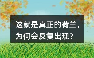 這就是真正的荷蘭，為何會(huì)反復(fù)出現(xiàn)？