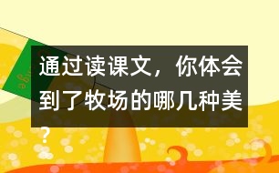 通過(guò)讀課文，你體會(huì)到了牧場(chǎng)的哪幾種美？