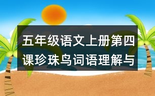 五年級(jí)語(yǔ)文上冊(cè)第四課珍珠鳥詞語(yǔ)理解與搭配