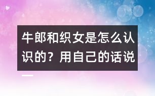牛郎和織女是怎么認識的？用自己的話說一說