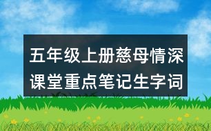 五年級上冊慈母情深課堂重點(diǎn)筆記生字詞