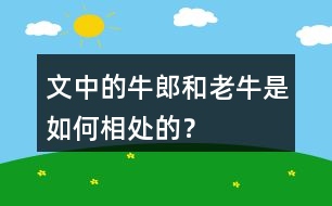 文中的牛郎和老牛是如何相處的？