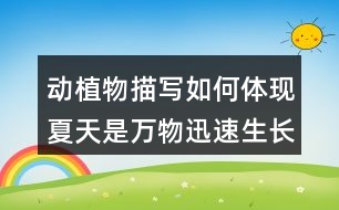 動(dòng)植物描寫(xiě)如何體現(xiàn)夏天是萬(wàn)物迅速生長(zhǎng)的季節(jié)