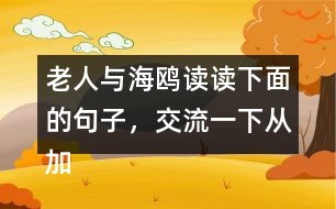 老人與海鷗讀讀下面的句子，交流一下從加點的詞句中體會到了什么，再把句子抄下來。