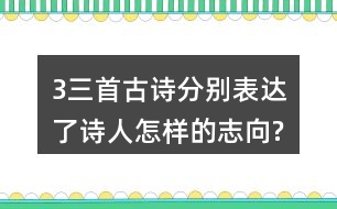 3、三首古詩分別表達(dá)了詩人怎樣的志向?表達(dá)的方法有什么共同特點(diǎn)?