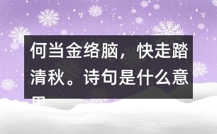 何當金絡腦，快走踏清秋。詩句是什么意思
