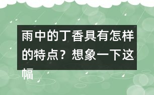 雨中的丁香具有怎樣的特點？想象一下這幅畫面。