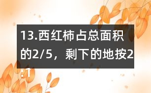 13.西紅柿占總面積的2/5，剩下的地按2:1的比種黃瓜和茄子。