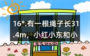 16*.有一根繩子長31.4m，小紅、小東和小林分別想用這根繩子在操場上圍出一塊地。