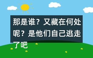 那是誰(shuí)？又藏在何處呢？是他們自己逃走了吧……這樣表達(dá)好處在哪里？