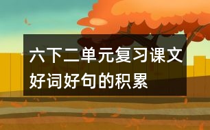 六下二單元復習課文好詞好句的積累