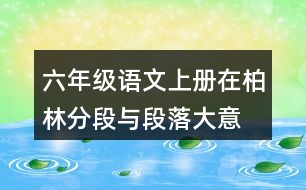 六年級(jí)語(yǔ)文上冊(cè)在柏林分段與段落大意