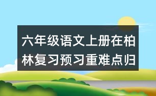 六年級(jí)語(yǔ)文上冊(cè)在柏林復(fù)習(xí)預(yù)習(xí)重難點(diǎn)歸納筆記