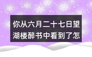 你從六月二十七日望湖樓醉書中看到了怎樣的一幅畫面？