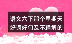 語(yǔ)文六下那個(gè)星期天好詞好句及不理解的詞語(yǔ)