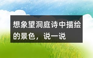 想象望洞庭詩中描繪的景色，說一說