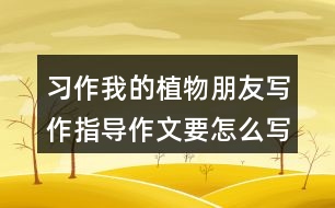 習作：我的植物朋友寫作指導作文要怎么寫