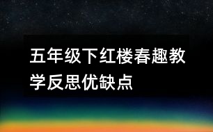 五年級(jí)下紅樓春趣教學(xué)反思優(yōu)缺點(diǎn)