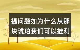 提問題如：為什么從那塊琥珀我們可以推測出幾千萬年前故事？