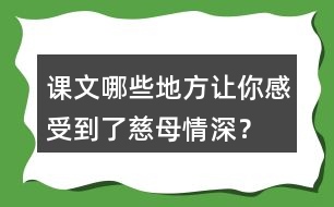 課文哪些地方讓你感受到了慈母情深？