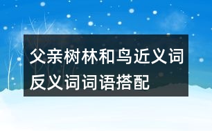 父親、樹林和鳥近義詞反義詞詞語搭配