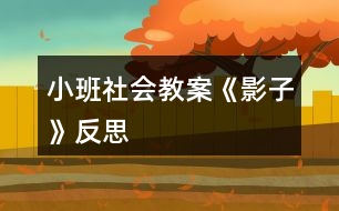 小班社會(huì)教案《影子》反思