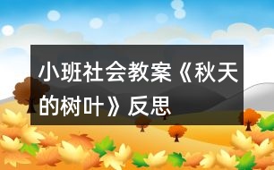 小班社會(huì)教案《秋天的樹葉》反思
