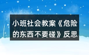 小班社會教案《危險(xiǎn)的東西不要碰》反思