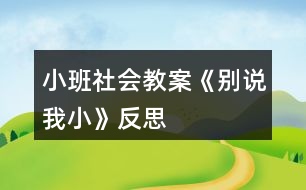 小班社會(huì)教案《別說我小》反思