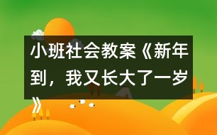 小班社會教案《新年到，我又長大了一歲》反思